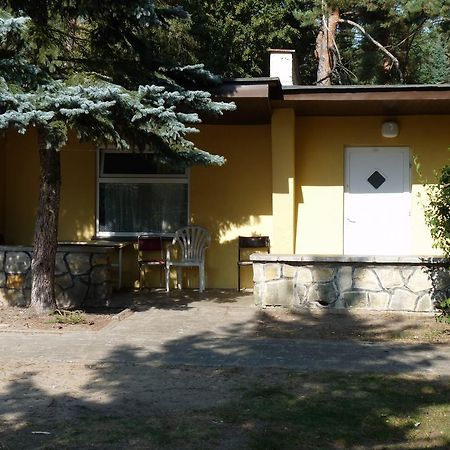 Osrodek Wypoczynkowy Jelonek Hotel Волщин Екстериор снимка
